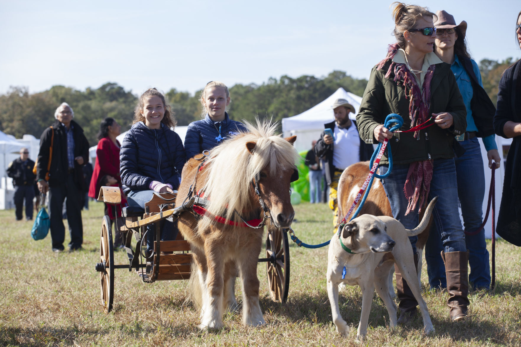 Steeplechase of Charleston pony rides